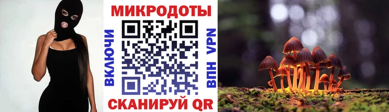 Псилоцибиновые грибы прущие грибы  Кемь 